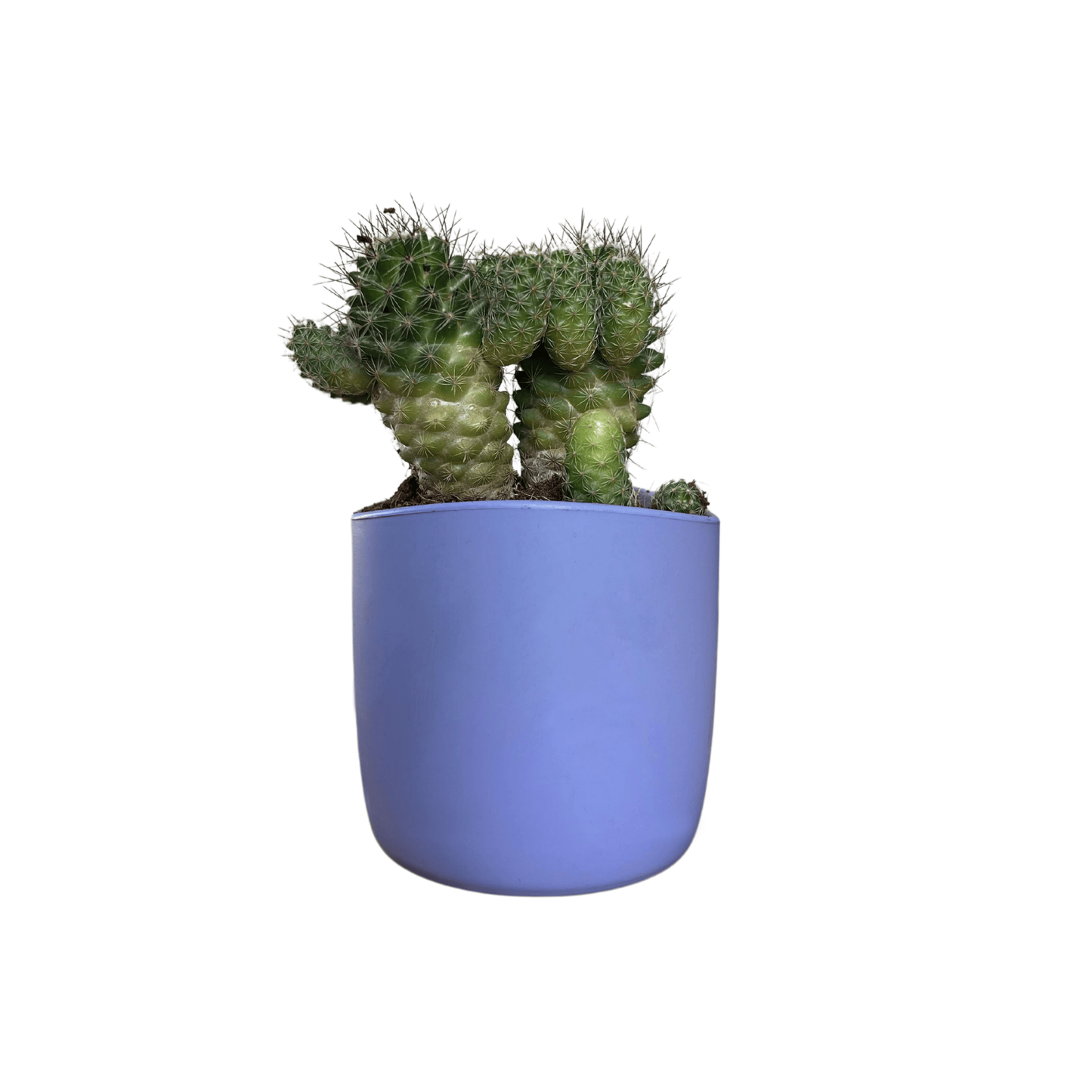 PLANTER POTS
