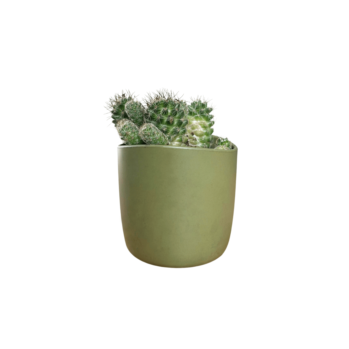PLANTER POTS