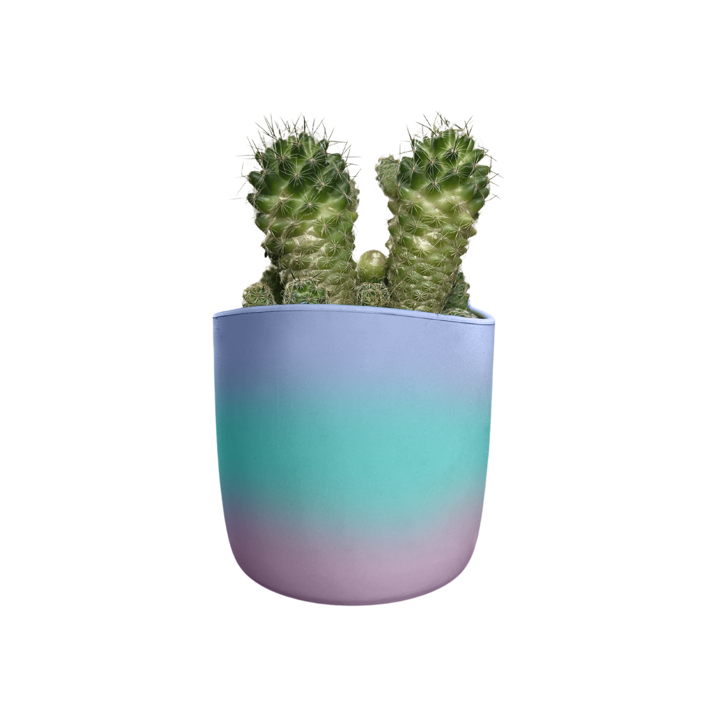 PLANTER POTS