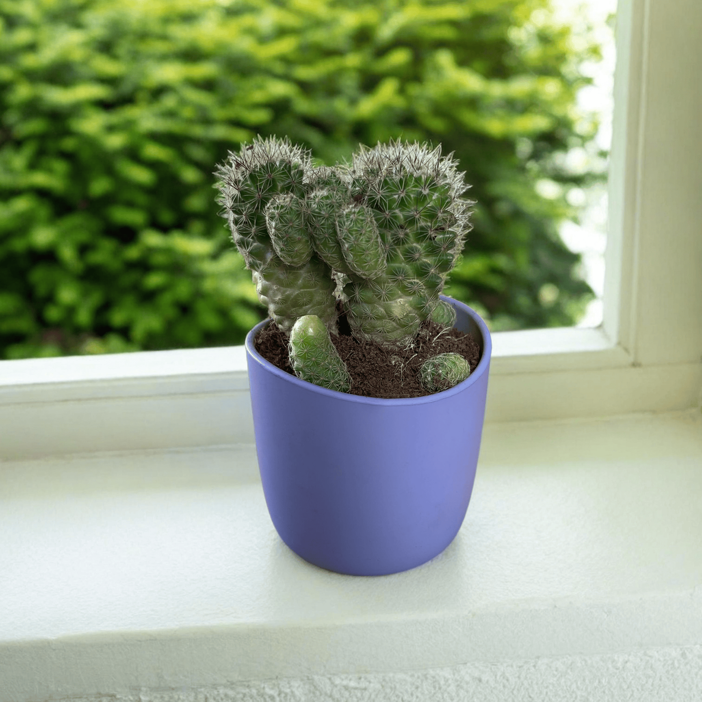 PLANTER POTS