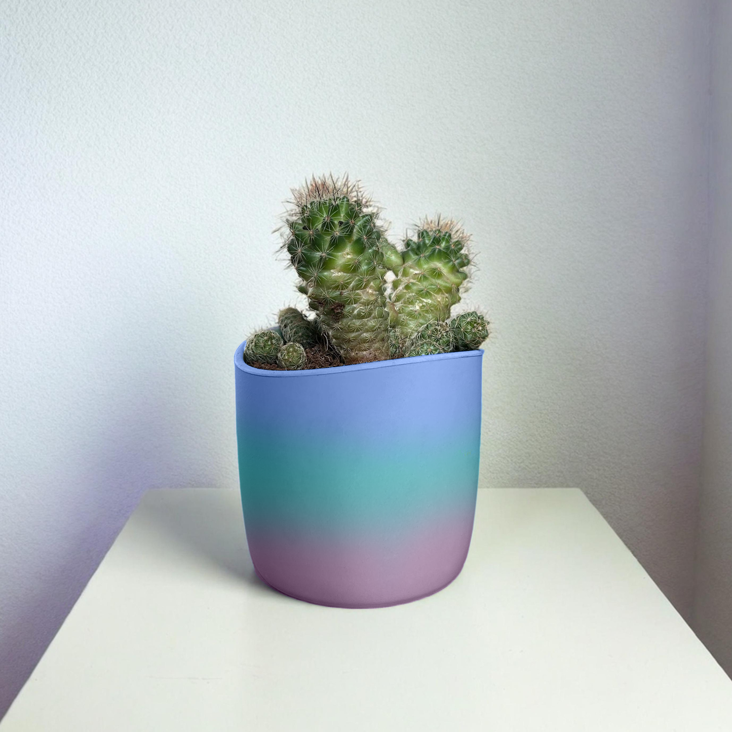 PLANTER POTS