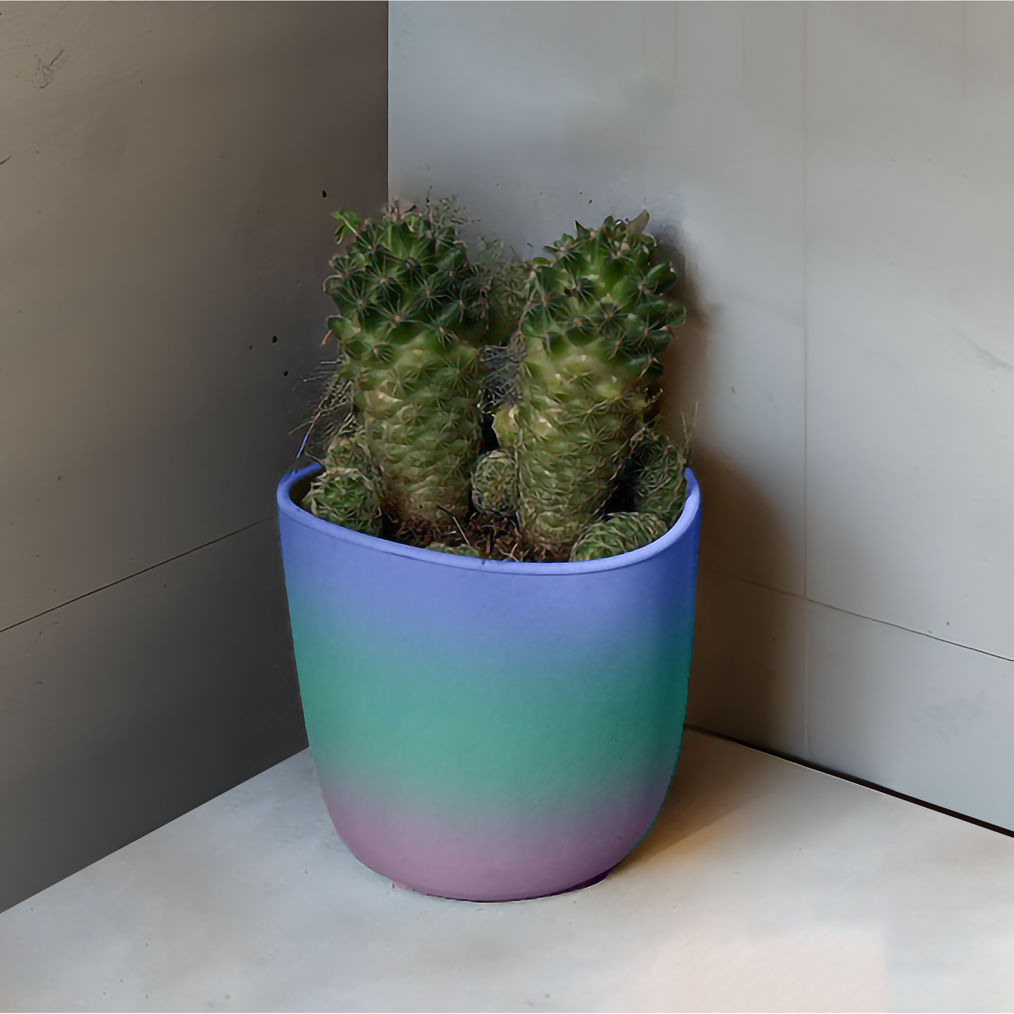 PLANTER POTS