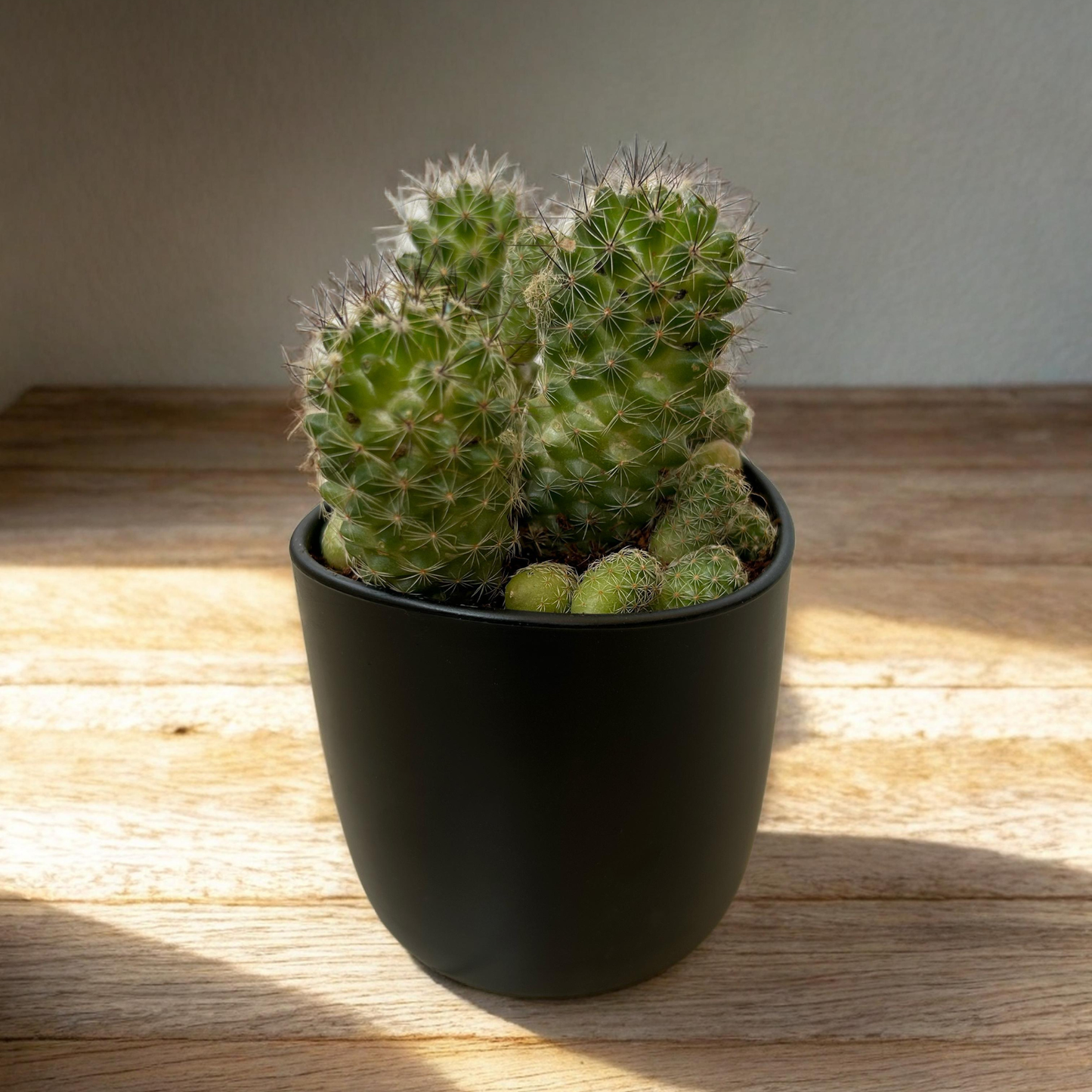 PLANTER POTS