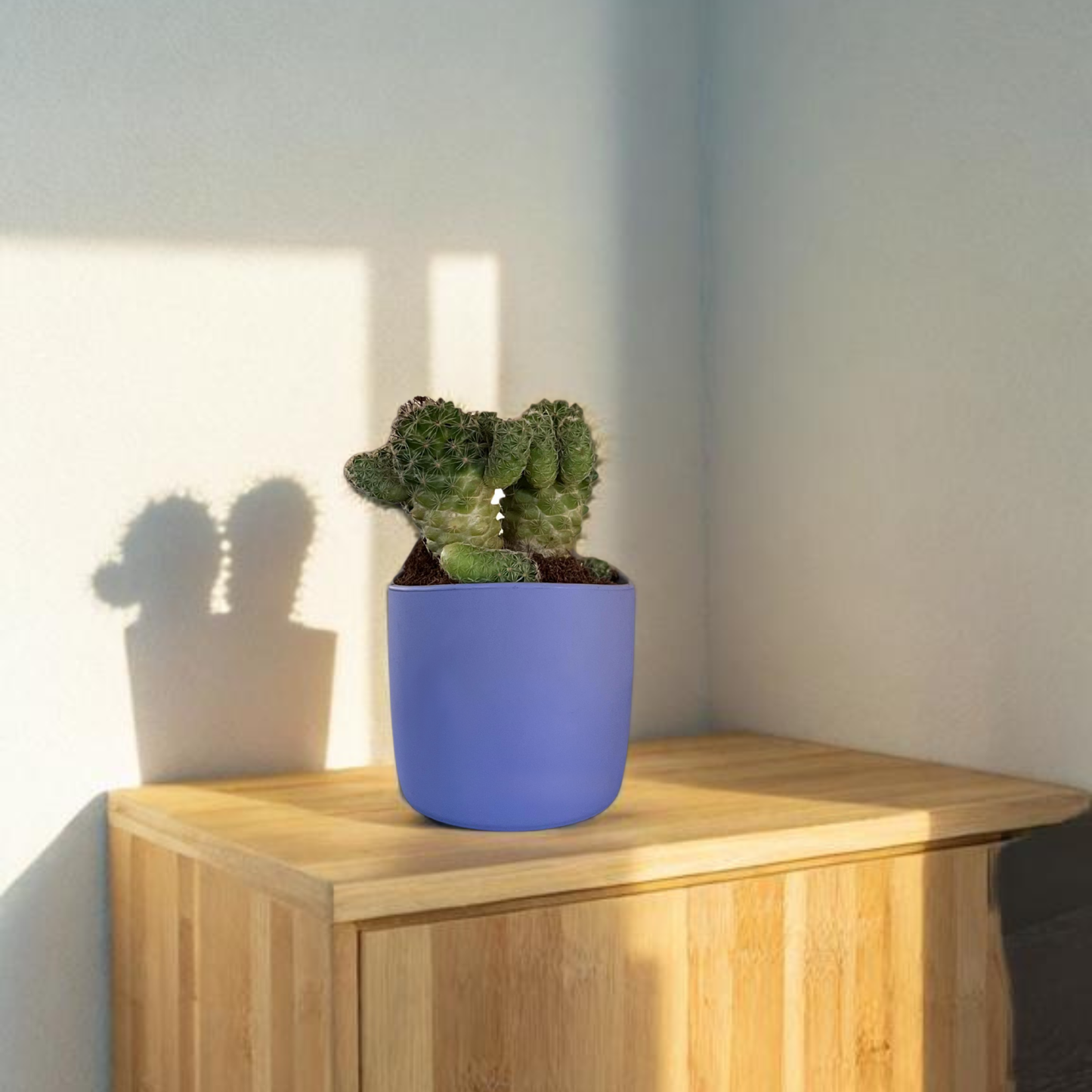 PLANTER POTS