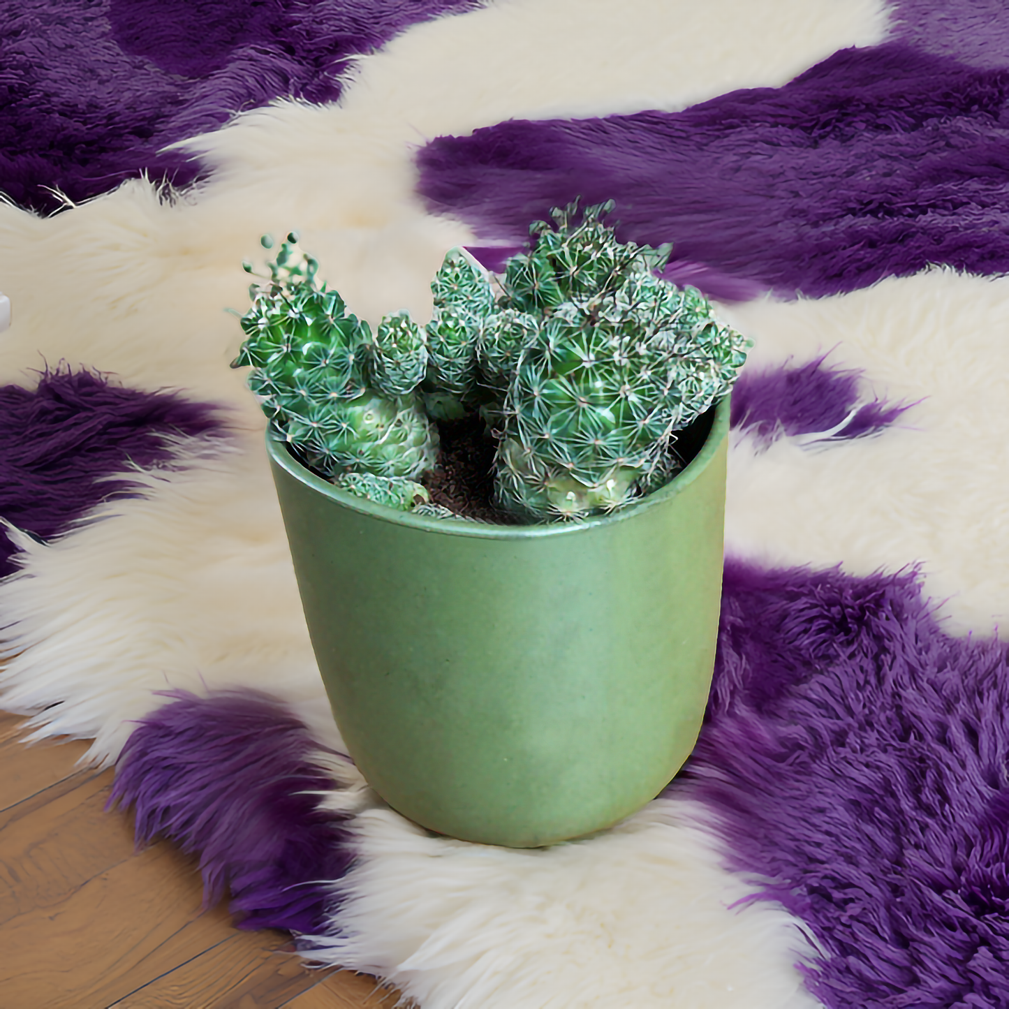 PLANTER POTS