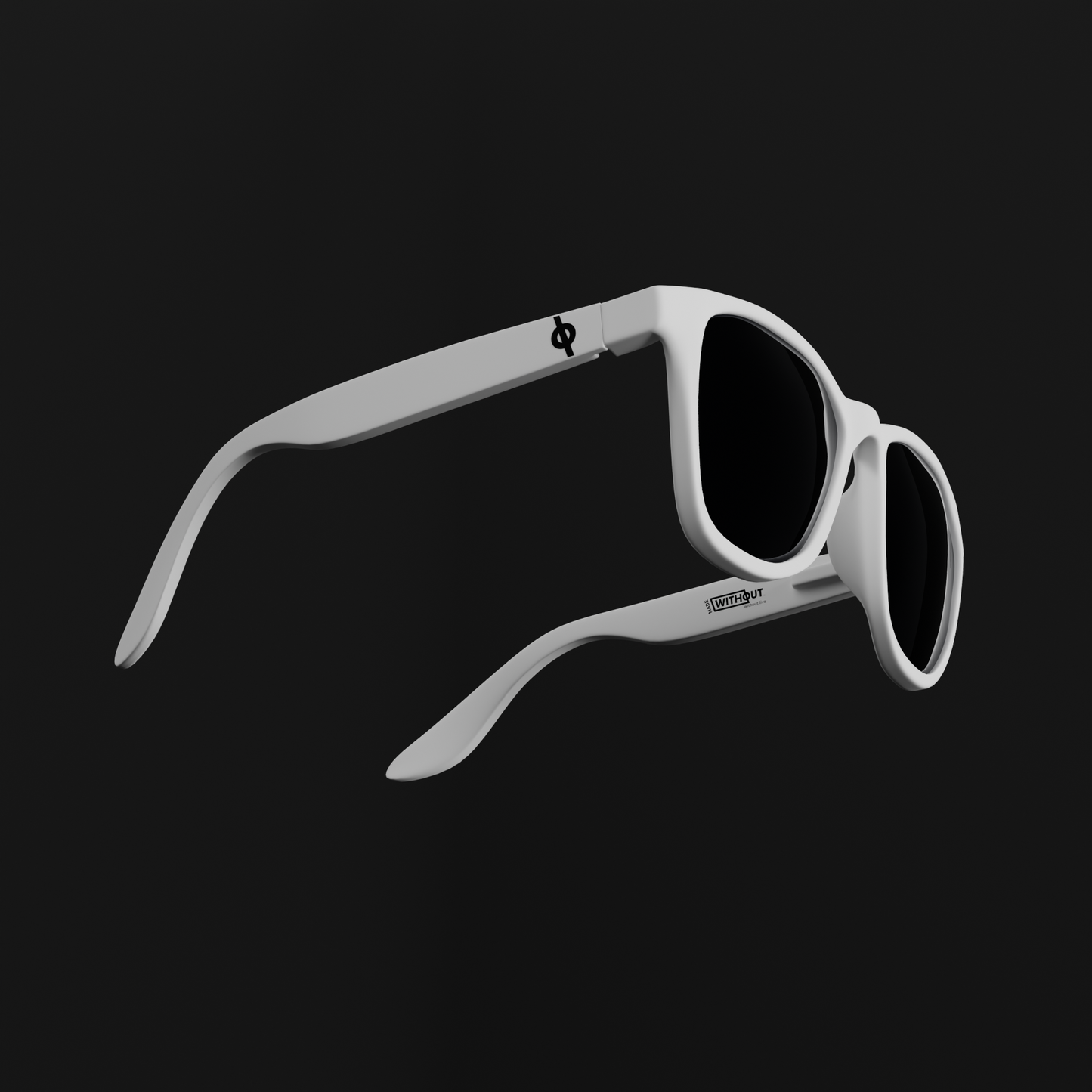 SUNGLASSES - WAYFARERS