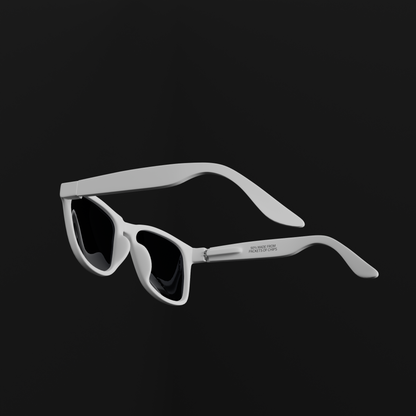 SUNGLASSES - WAYFARERS