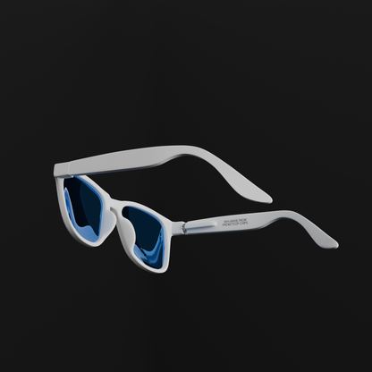 SUNGLASSES - WAYFARERS